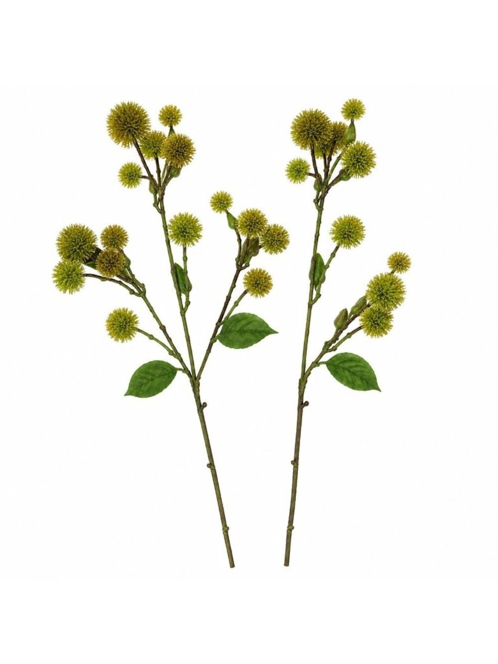 Moss Green Pom Pom Thistle Stem 2 Stems